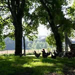 La Butte De Gohier Bed & Breakfast Blaison