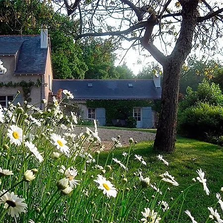 Frühstückspension La Butte De Gohier Blaison