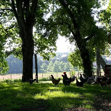La Butte De Gohier Frühstückspension Blaison