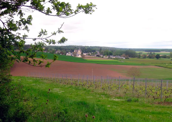 La Butte De Gohier Bed & Breakfast Blaison