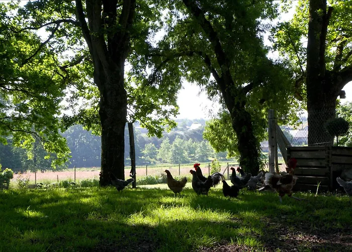 La Butte De Gohier Bed & Breakfast Blaison